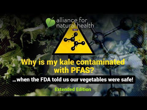 Why is my kale contaminated with PFAS? | Extended Edition