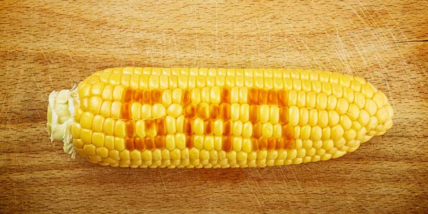 USDA Makes GMOs Disappear