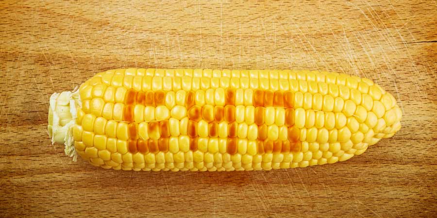 USDA Makes GMOs Disappear