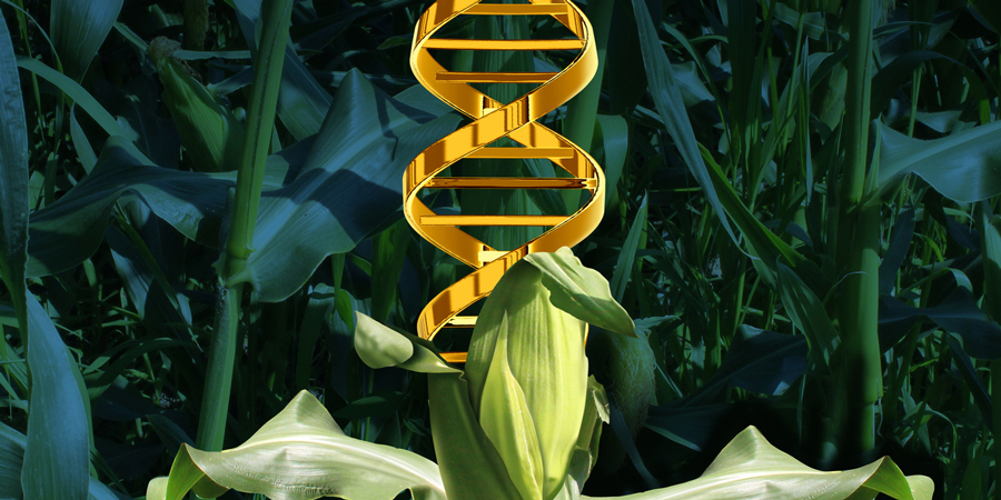 Industry GMO Labeling Bill Passes