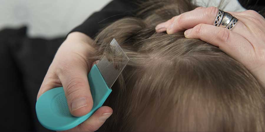 “Resistant” Head Lice in Children Increasingly Hard to Kill