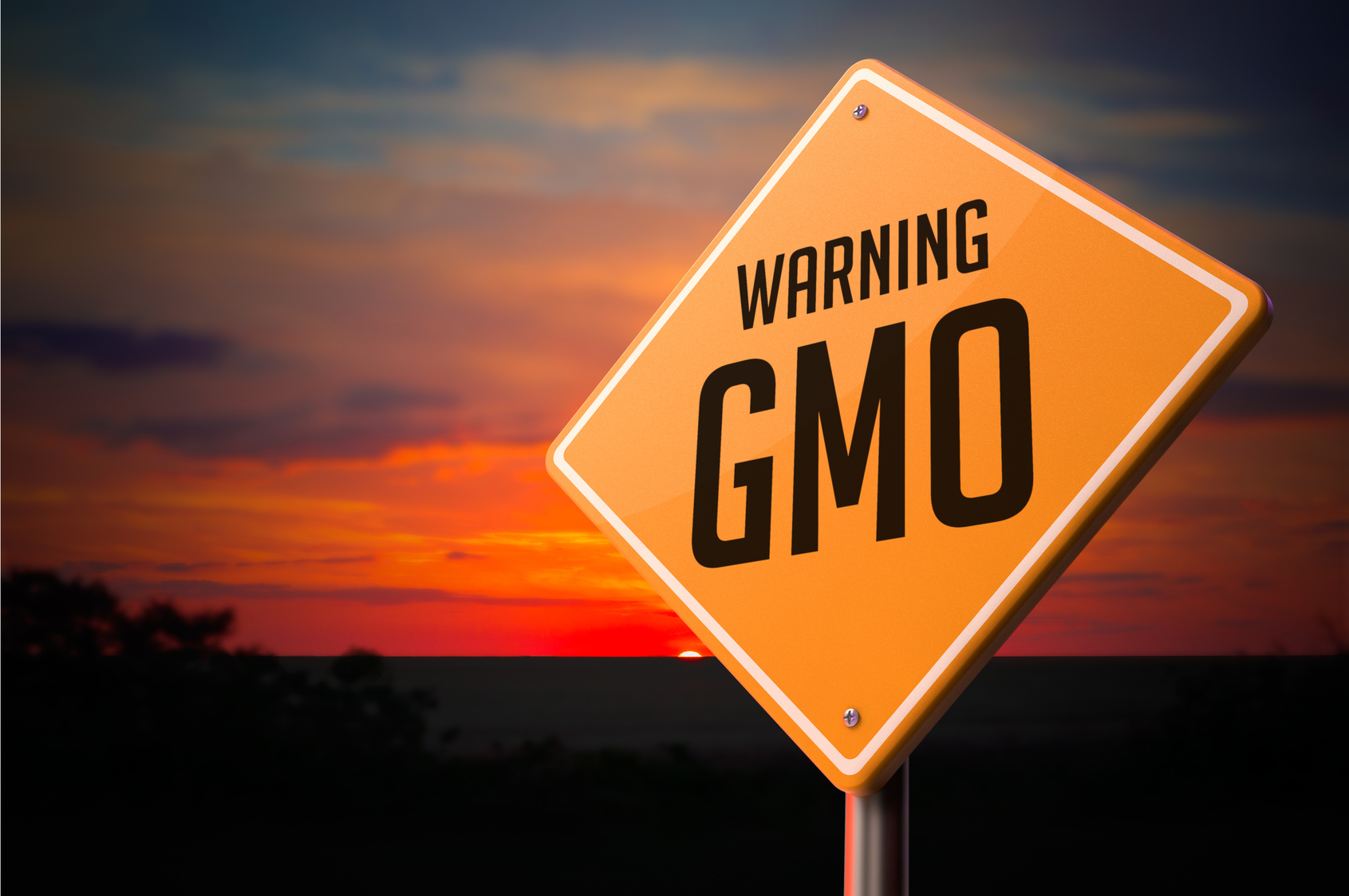 OPED— Questions of GMO Safety Miss the Larger Point