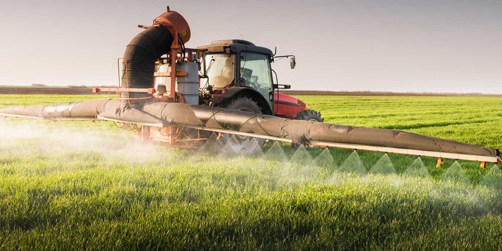 Myth, Busted: We Do NOT Need Pesticides to Feed the World