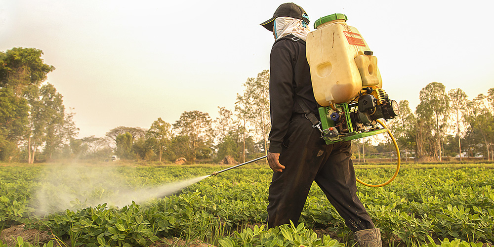 Pesticide Regulation: We Can Do Better