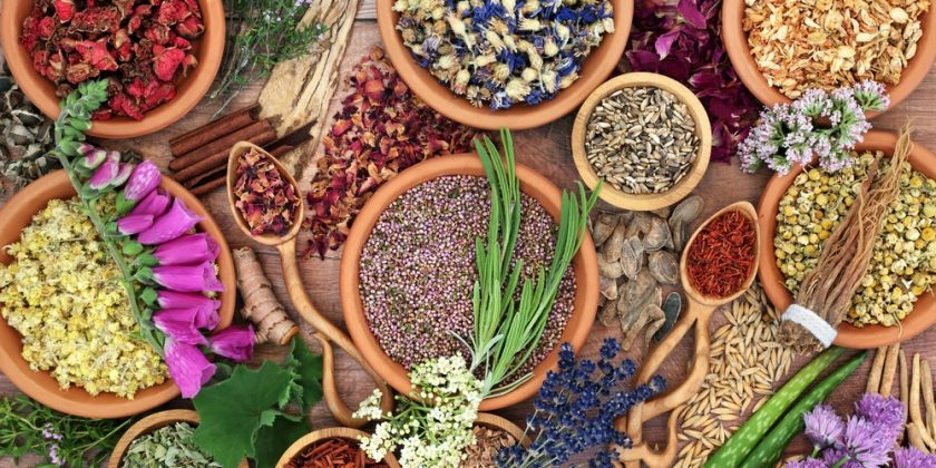 Pharma-Backed Study: Herbs Are Destroying Your Liver!