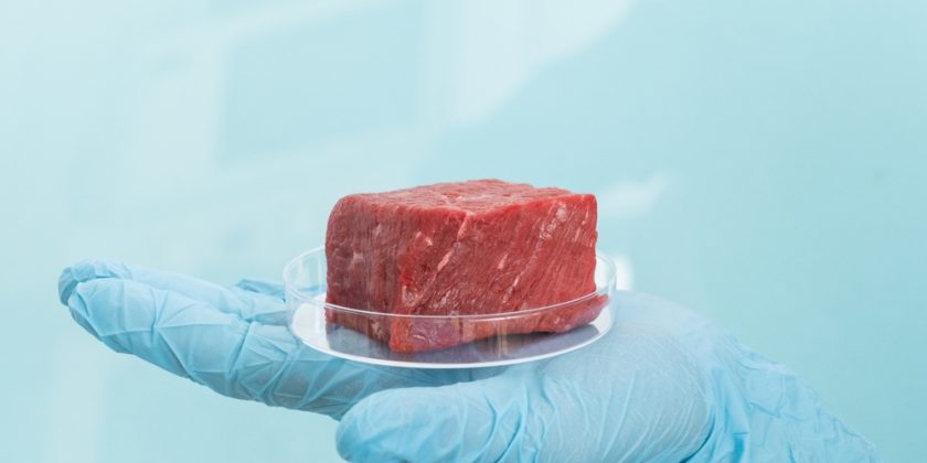 The Illusion of Choice: Why Won’t They Tell Us the Truth About Lab-Grown Meat?