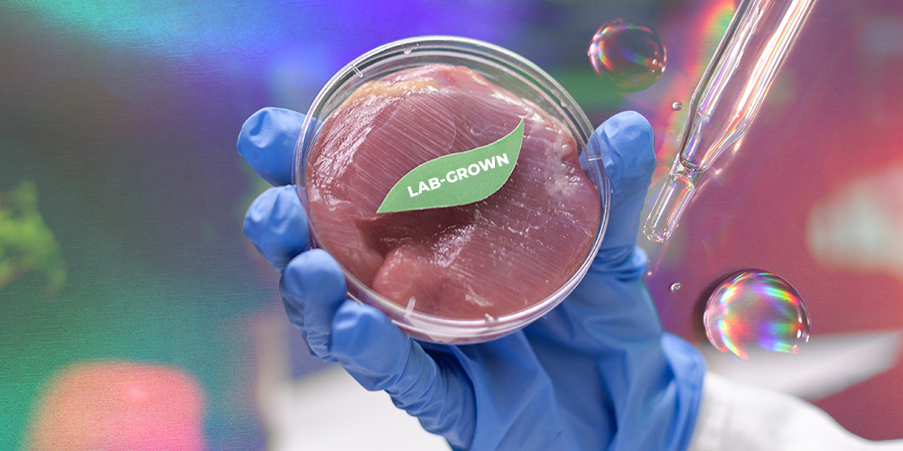 Nourishment or Novelty: Help Us Avoid Becoming a Frankenfood Nation
