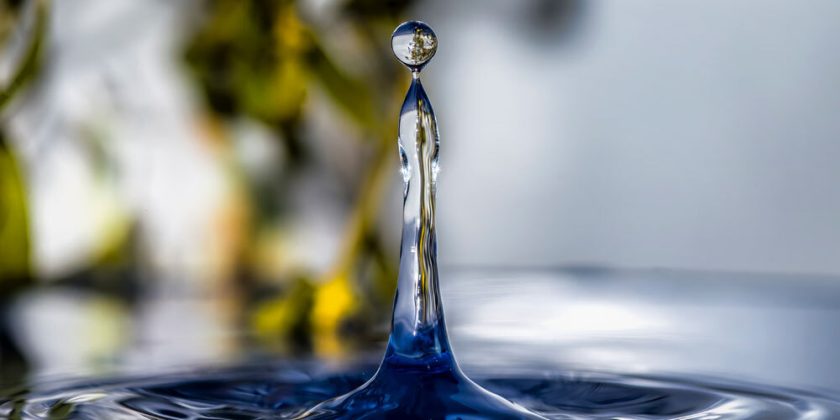 EPA Backtracks on PFAS Regulation—Just as New Evidence Shows These Chemicals Threaten Reproduction