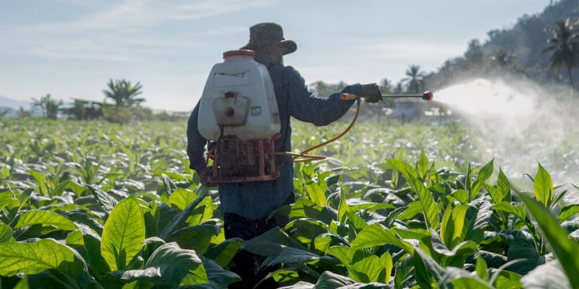 Big Chem’s Plan to Poison Us with Immunity