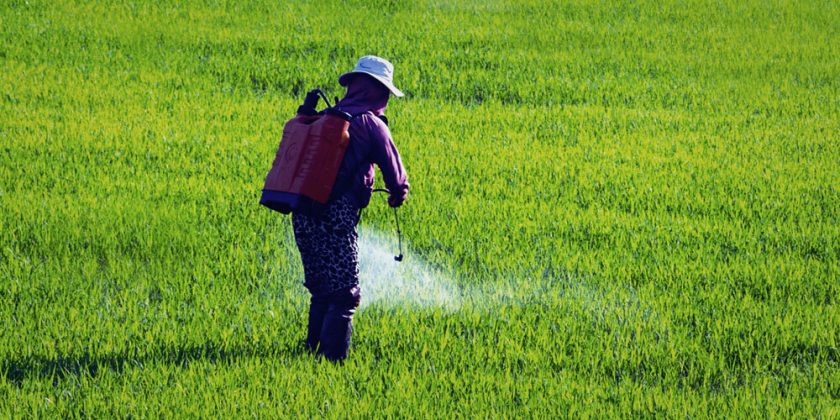 MAHA Betrayal in Plain Sight: Pesticide Deregulation and Vax-Style Immunity