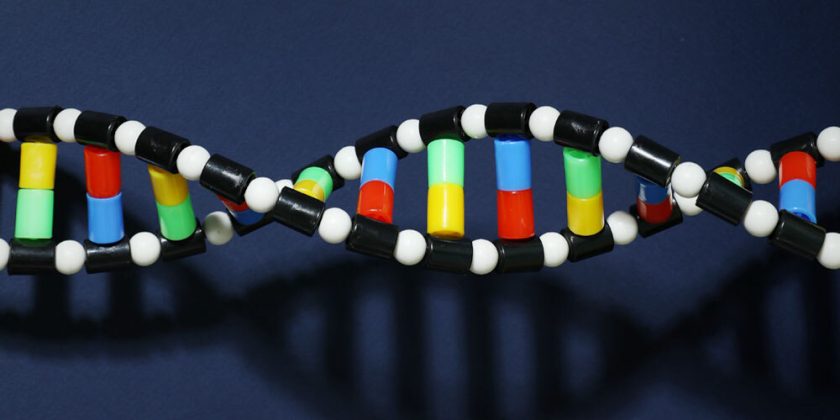 The New GMO Wave You Won’t Be Told About