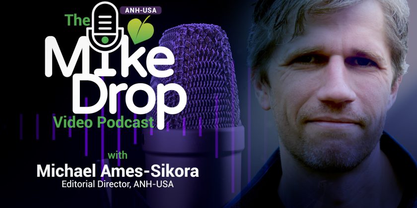 The Mike Drop Podcast: Jonathan Emord