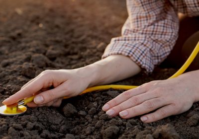 Soil